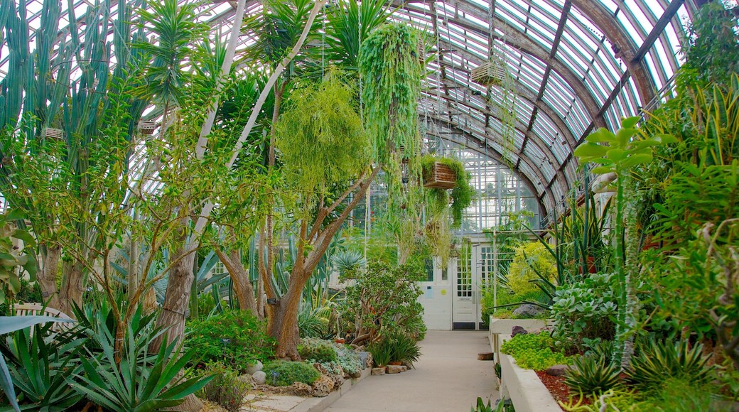 Garfield Park Conservatory featuring a park and interior views