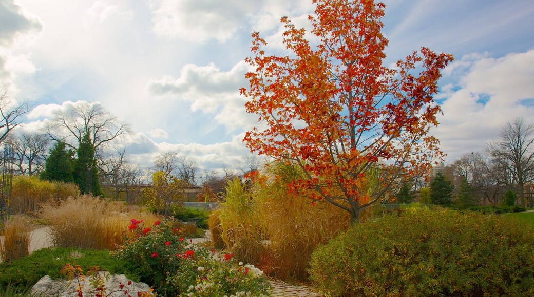 加菲爾德植物園 设有 花卉, 花園 和 風景圖