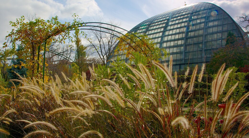 Garfield Park Conservatory which includes a park