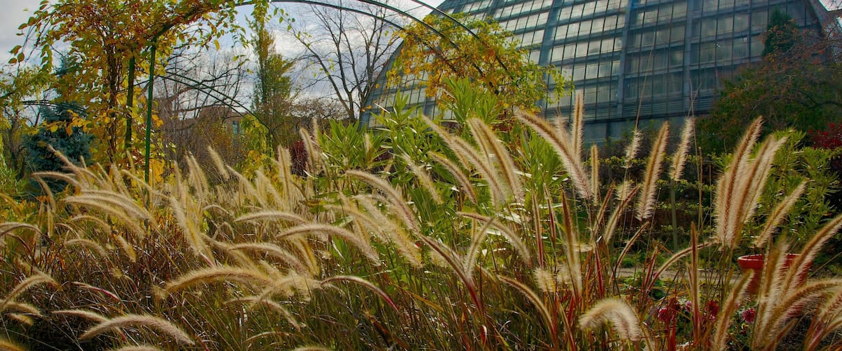 Garfield Park Conservatory