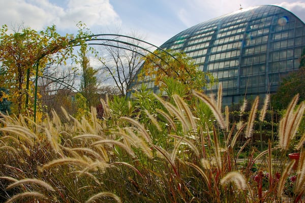 Beautiful view of Garfield Park Conservatory showcasing lush greenery and architecture in Chicago, Illinois during a sunny day