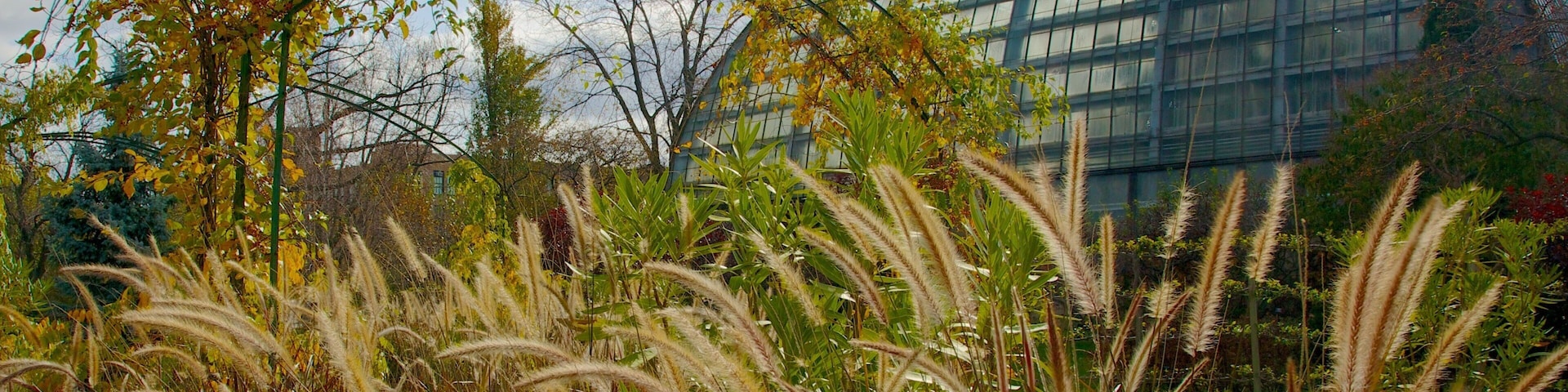 Conservatório do parque de Garfield mostrando um parque