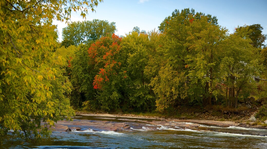 Keeseville ofreciendo escenas tranquilas y un río o arroyo