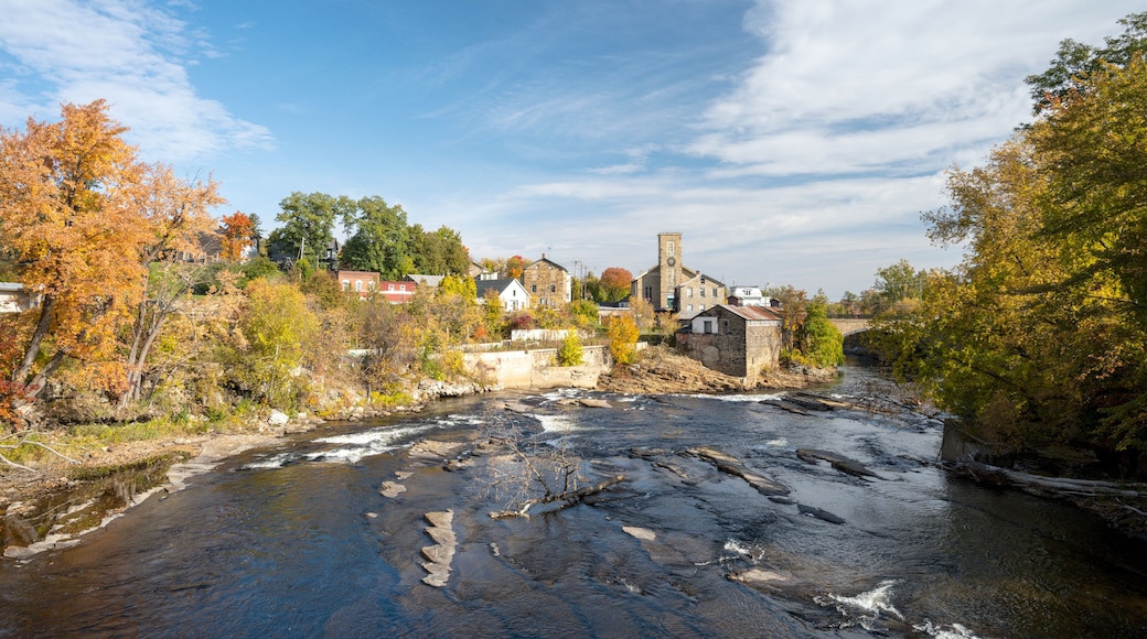 A river flowing through a town with autumn-colored trees and historic buildings.
