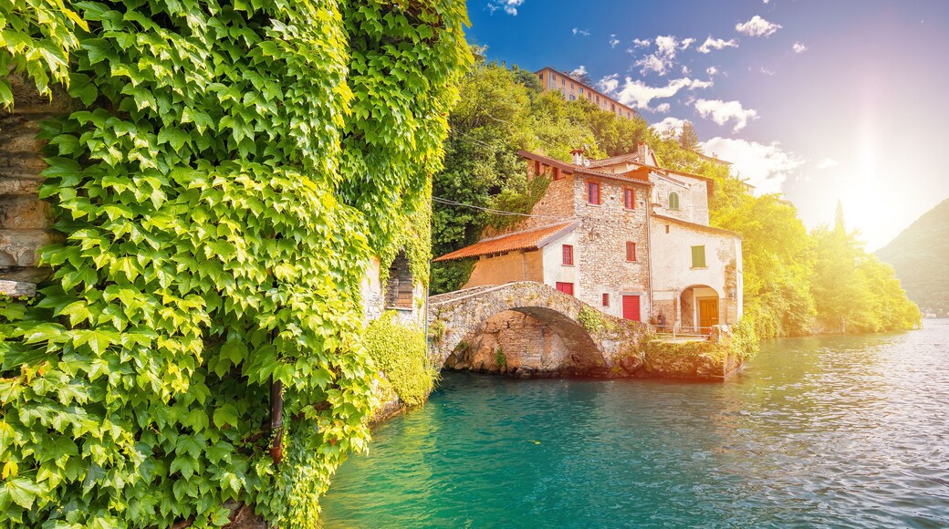 Nesso