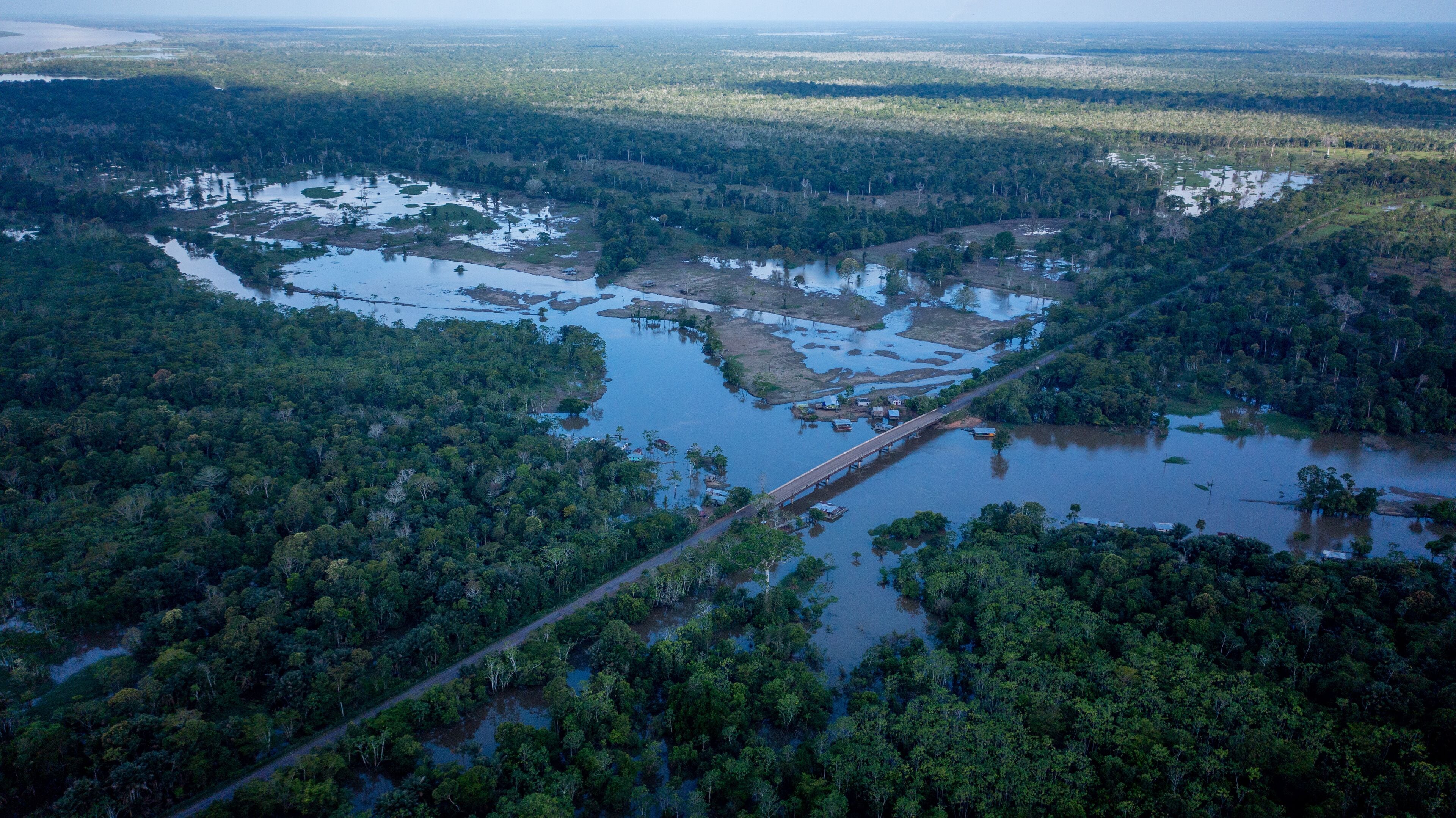 Aerial view of the BR 319 highway linking Manaus and Porto Velho in the Brazilian Amazon. The beginning of the route in Careiro da Várzea is surrounded by wetlands and rainforest. Amazonas, Brazil