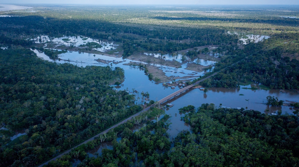 Aerial view of the BR 319 highway linking Manaus and Porto Velho in the Brazilian Amazon. The beginning of the route in Careiro da Várzea is surrounded by wetlands and rainforest. Amazonas, Brazil