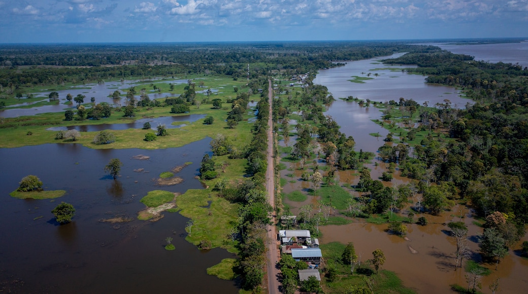 Aerial view of the BR 319 highway linking Manaus and Porto Velho in the Brazilian Amazon. The beginning of the route in Careiro da Várzea is surrounded by wetlands and rainforest. Amazonas, Brazil