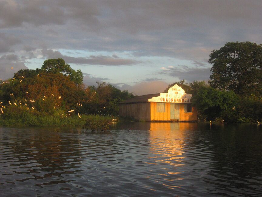 Sunrise boat trip on Juma Lake, Amazonas. #goldenhour
