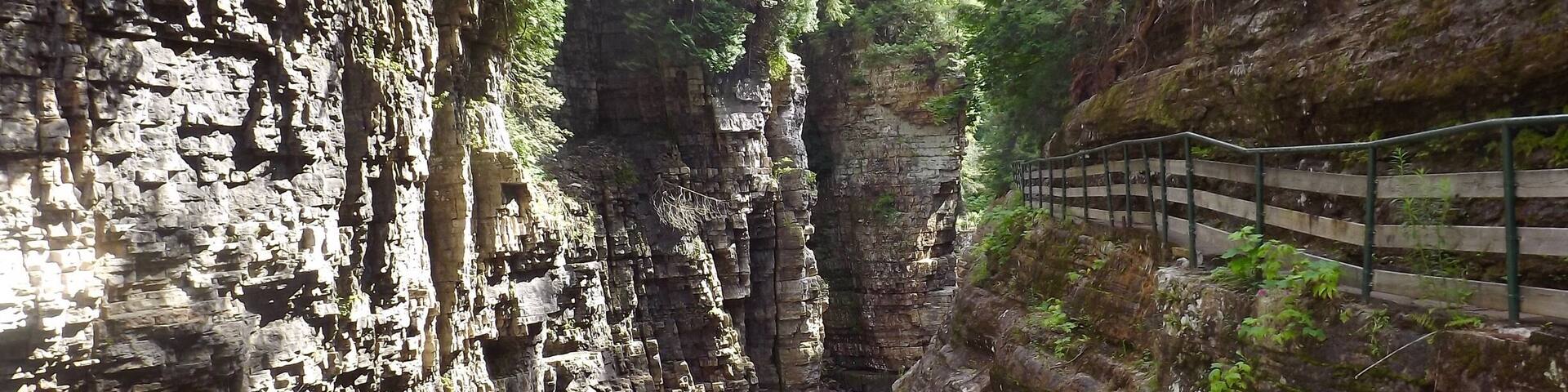 A narrow canyon with steep rock walls and a small stream running through it.