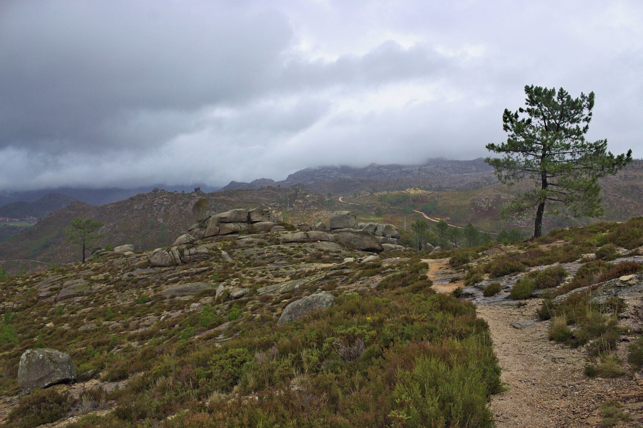 A rocky hillside with a dirt path, a lone pine tree, and distant mountains under a cloudy sky.
