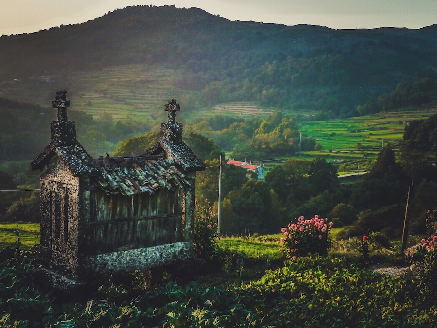 Una casa de piedra rústica con techo de paja rodeada de abundante vegetación y una colina distante.