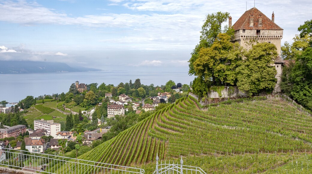 Beautiful view of the Chatelard Castle in Montreux, Switzerland on a green hill against a blue sky