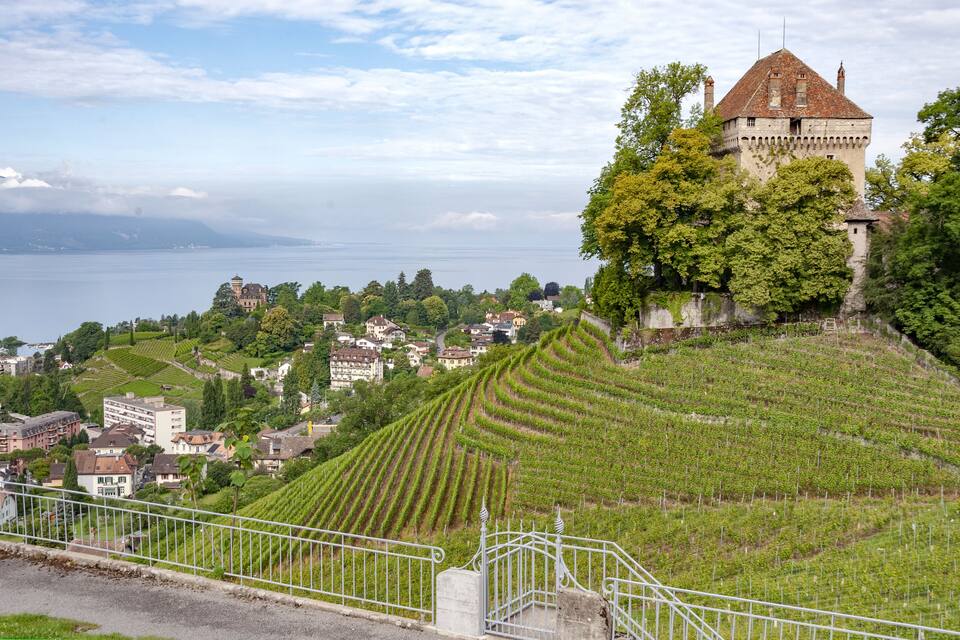 A castle on a hill overlooking vineyards and a lake.