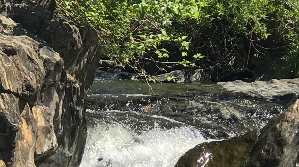 Hidden trails Auburn, California