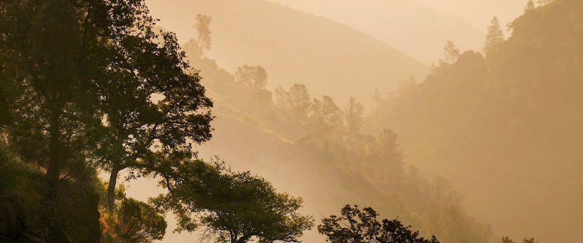 Early morning trail run in the American River Canyon in Auburn California. Stagecoach Trail is a very popular access point to the The Auburn State Recreation Area and leads hikers directly to the American River Confluence.
#Adventure #trailrun #sierra #americanriver