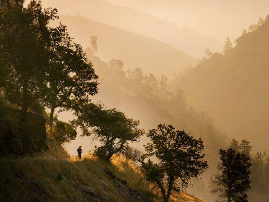 Early morning trail run in the American River Canyon in Auburn California. Stagecoach Trail is a very popular access point to the The Auburn State Recreation Area and leads hikers directly to the American River Confluence.
#Adventure #trailrun #sierra #americanriver