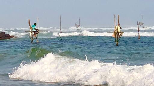 Fisherman fishing on stilt