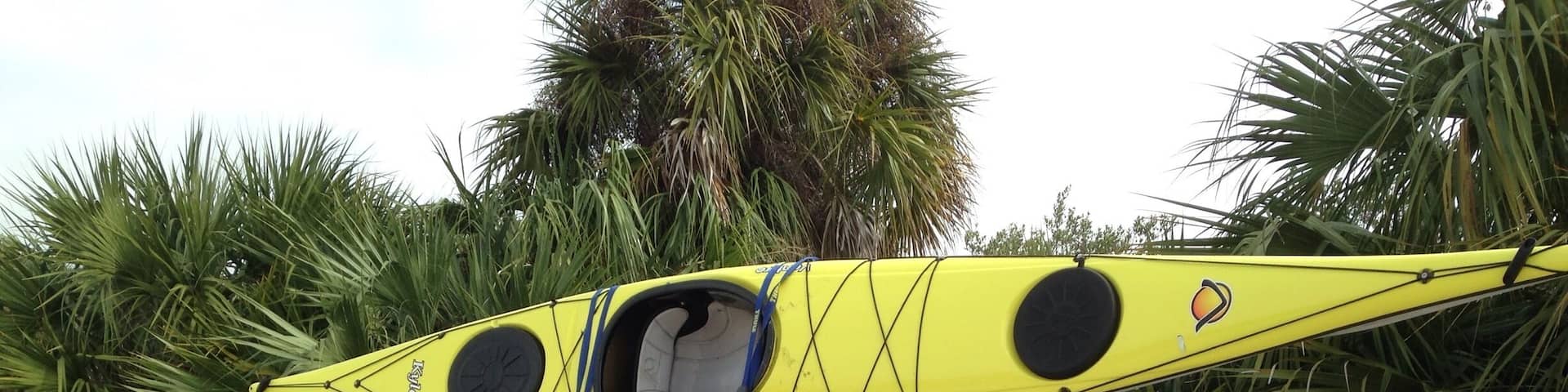 Had a great paddle
across the intercoastal
to Lemon Bay Park and back with good friend Buddy Roystrom.