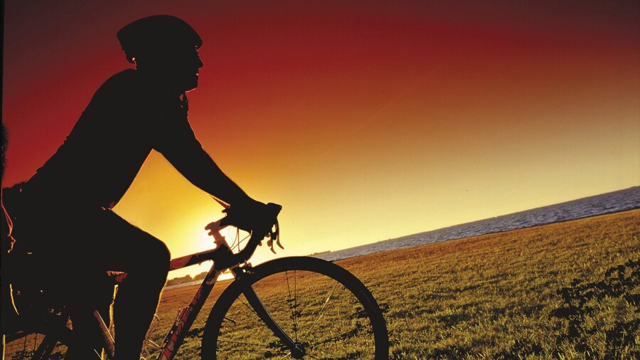 Englewood Beach presenterar cykling och en solnedgÄng