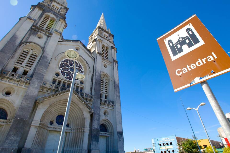 Una catedral con una aguja alta y un amplio vitral circular.