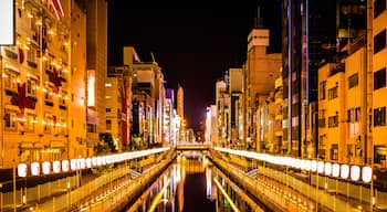 The Neon Lights of Dotonbori River , Osaka Japan