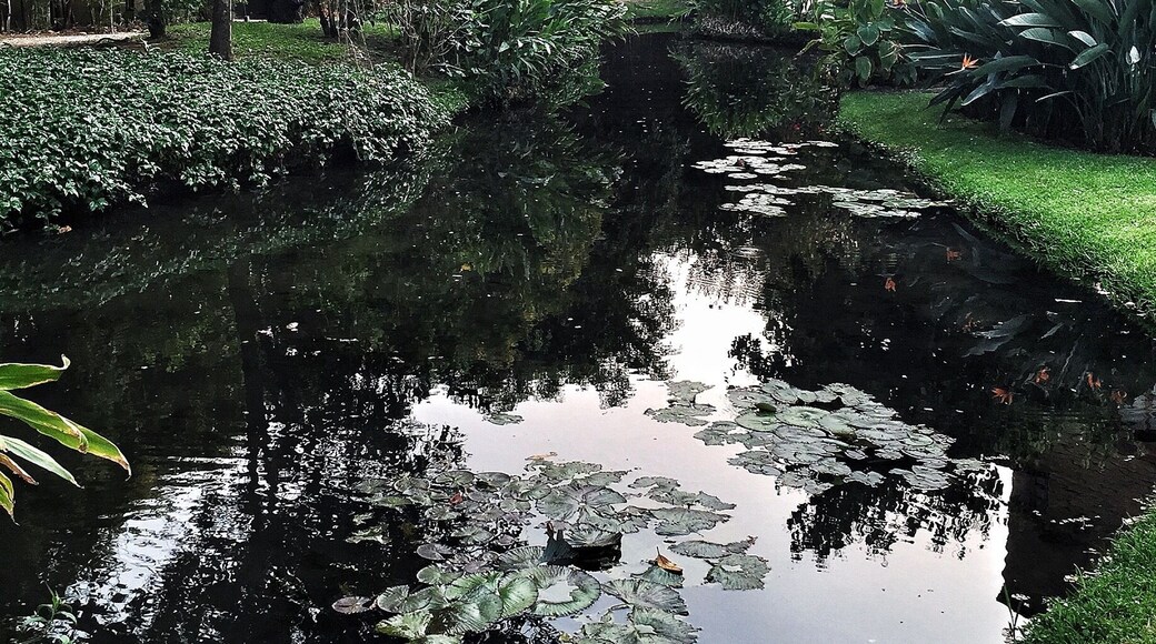 Other parts of the hotel