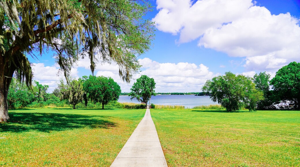 The landscape of Lake Gibson in Lakeland, Florida, USA