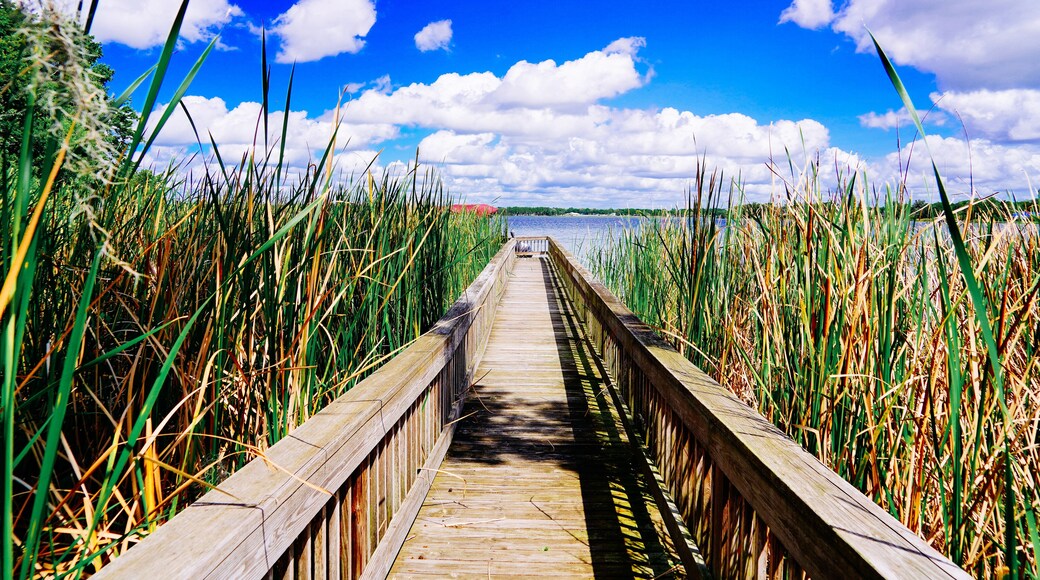 The landscape of Lake Gibson in Lakeland, Florida, USA