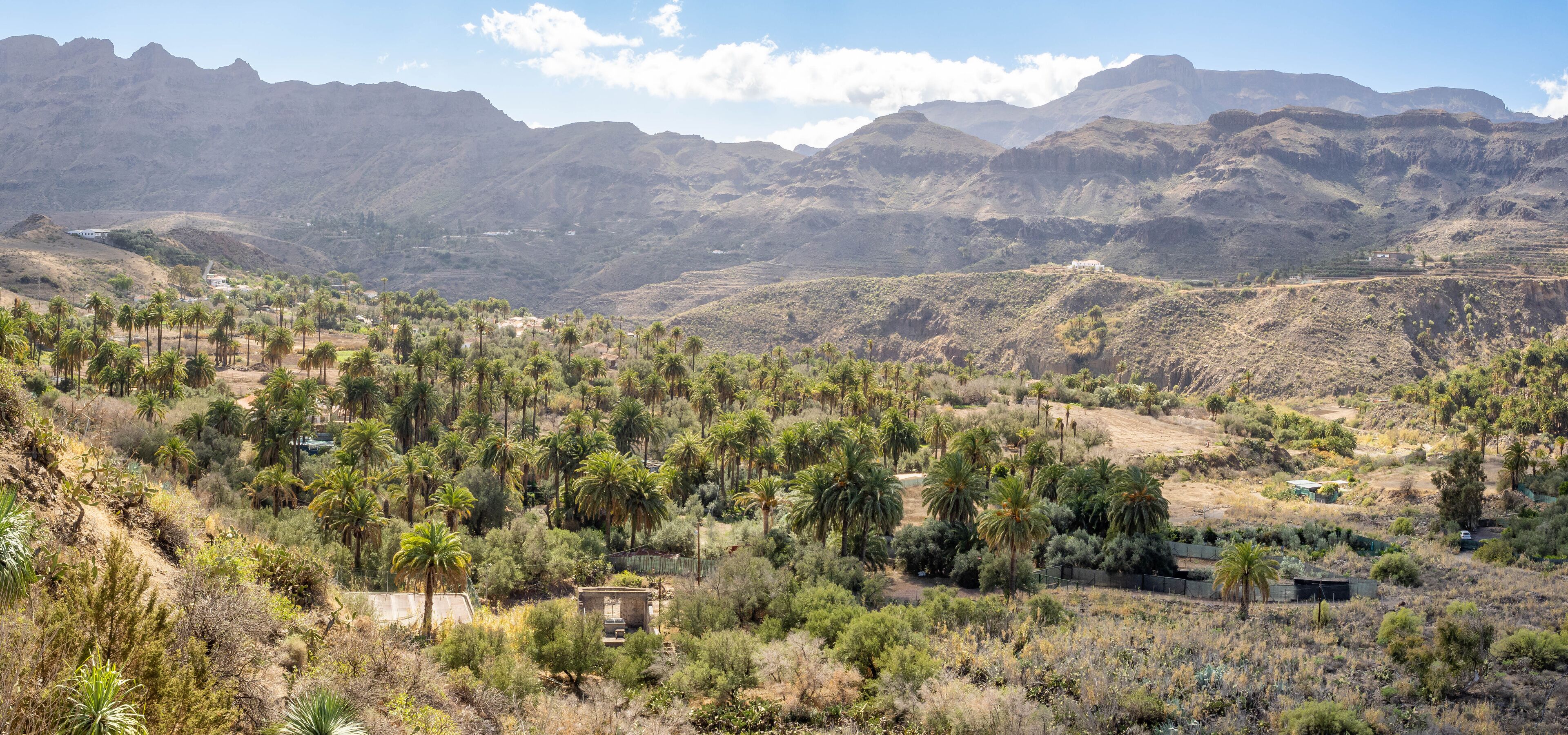 View from El ingenio de Santa Lucia viewp, impressive mountain and palm trees landscape, Canary Islands, Spain