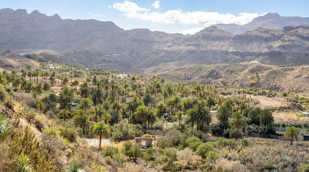View from El ingenio de Santa Lucia viewp, impressive mountain and palm trees landscape, Canary Islands, Spain