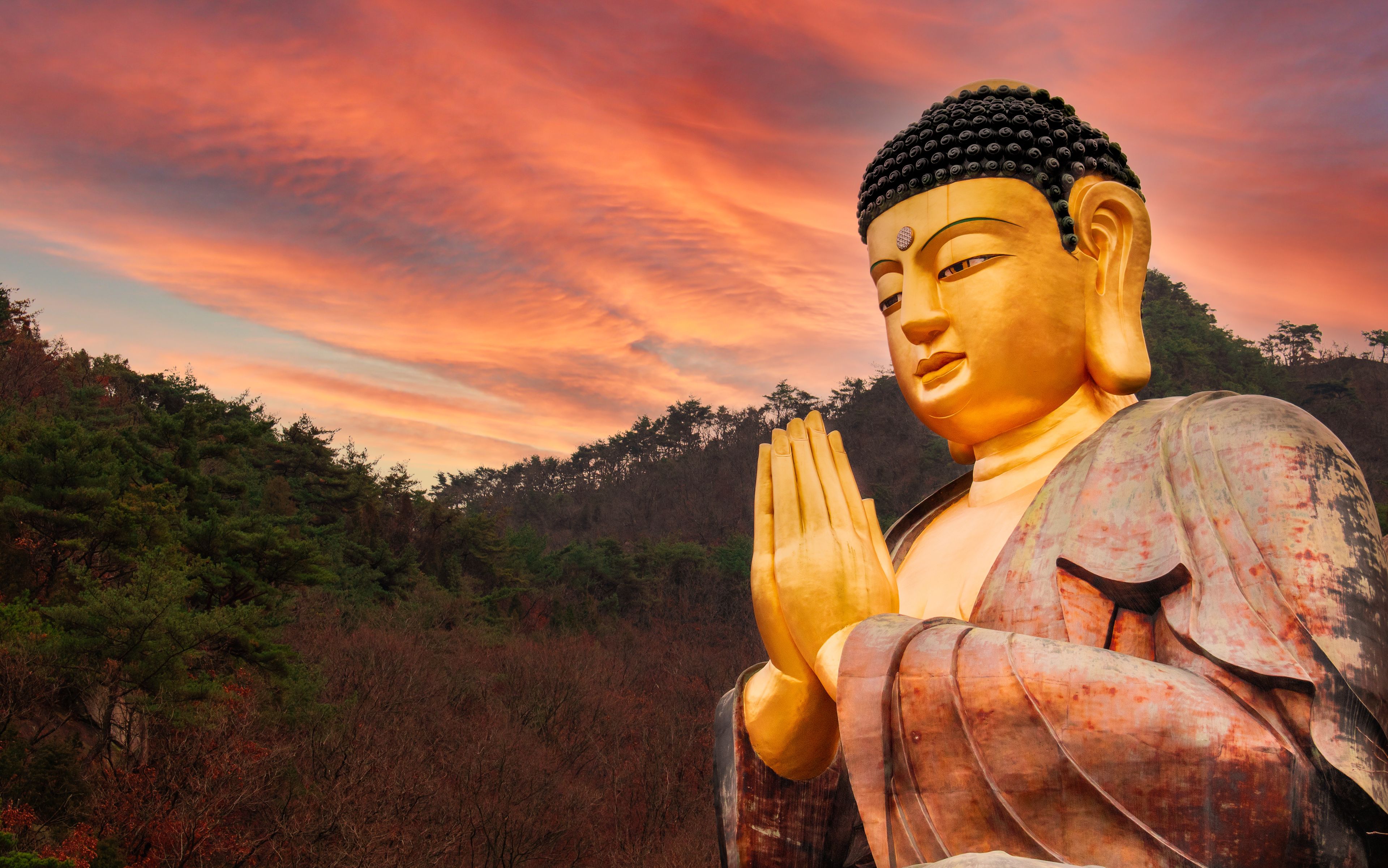 A large Buddha statue with hands in a prayer position, set against a backdrop of a sunset sky and a forested hillside.