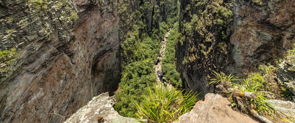 A deep canyon with steep cliffs and dense greenery.