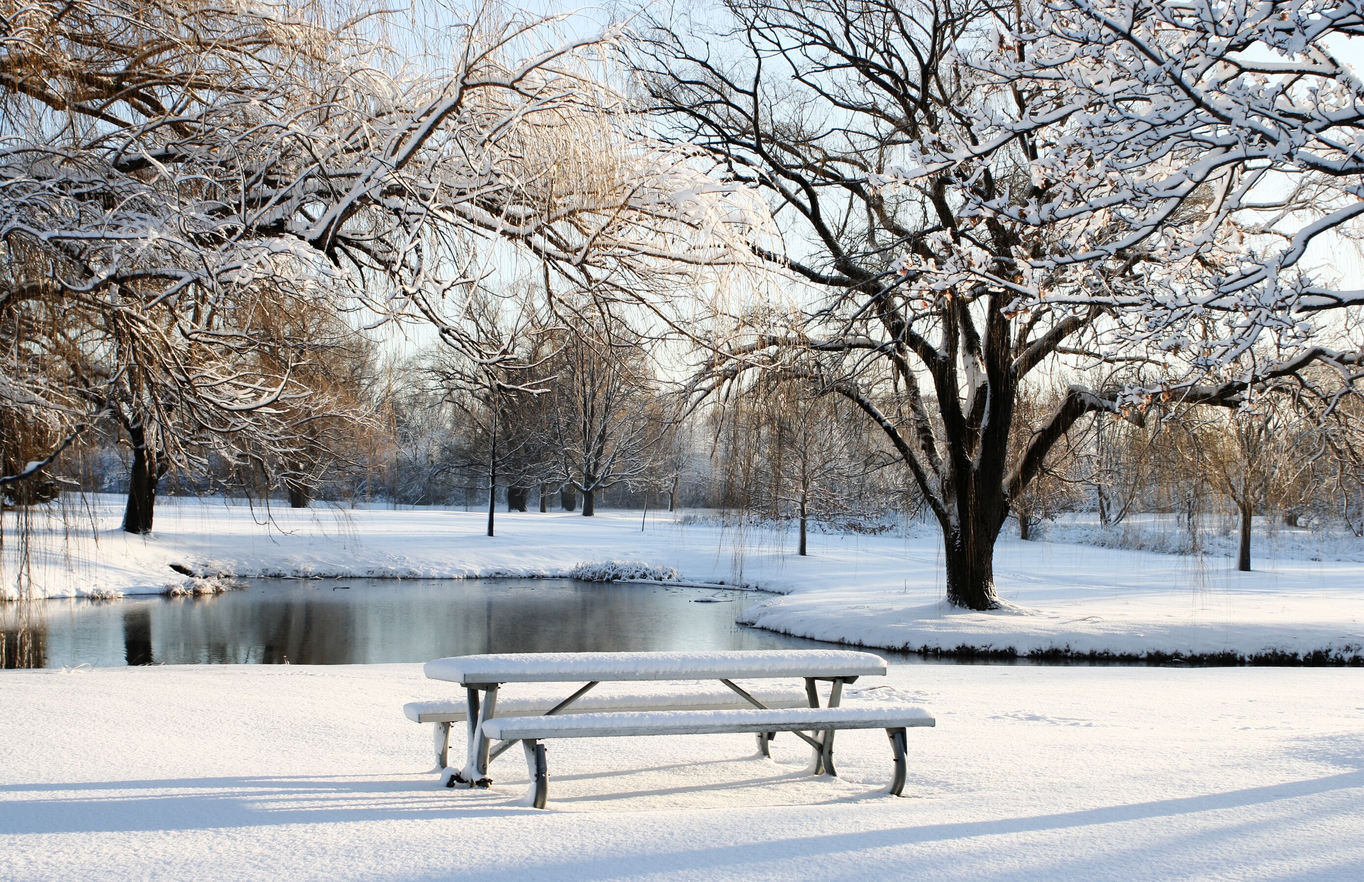 snowy day in the park