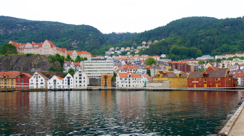 Paseo marítimo de Bryggen que incluye un lago o abrevadero y una pequeña ciudad o pueblo