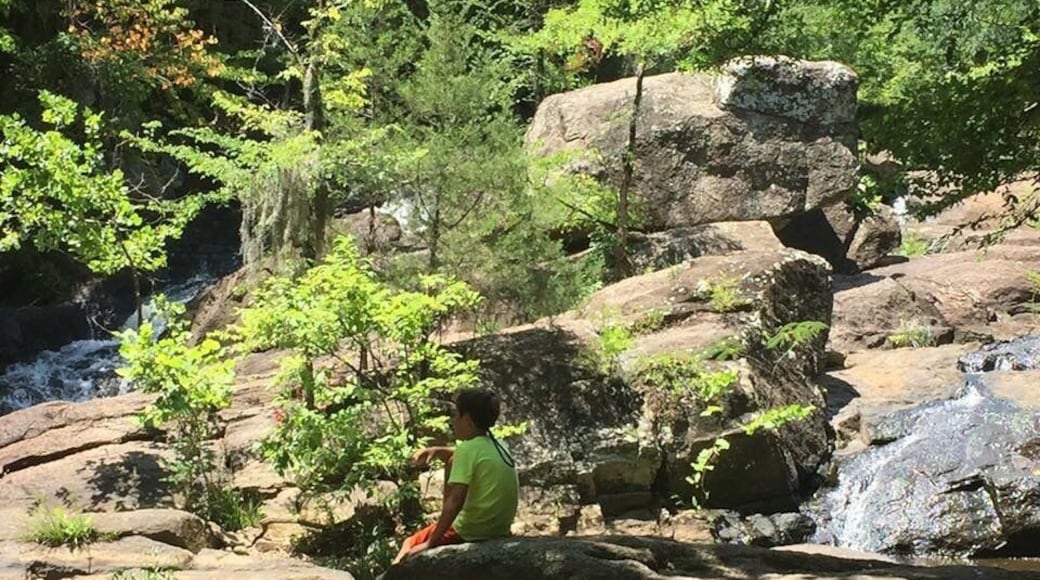 Chewacla State Park
To discovery more about this location, including directions and planning ideas visit our blog:
http://frugalfamilytravelers.blogspot.com/2016/12/looking-for-holiday-getaway-enjoy-this.html