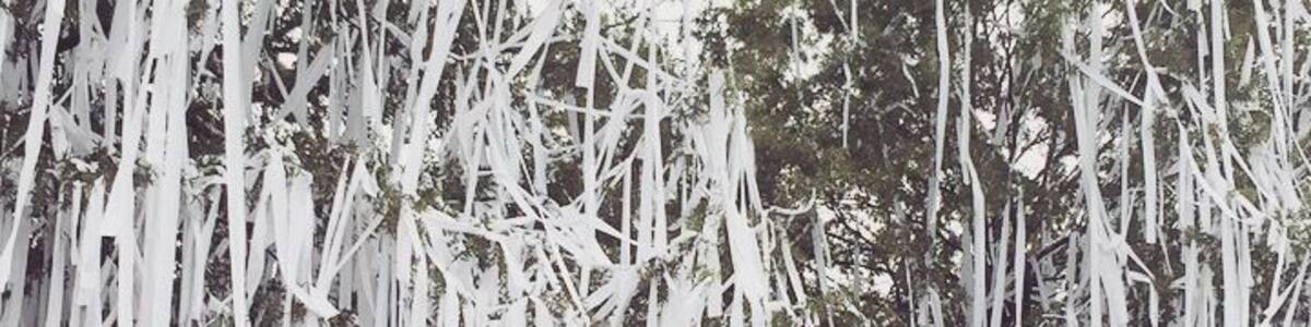 We Win!! Such a fun tradition of rolling the trees after a victory