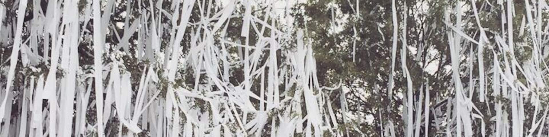 We Win!! Such a fun tradition of rolling the trees after a victory