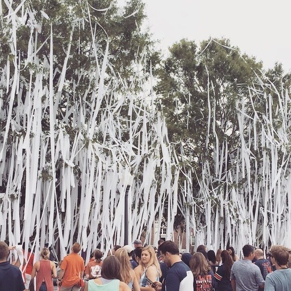 We Win!! Such a fun tradition of rolling the trees after a victory