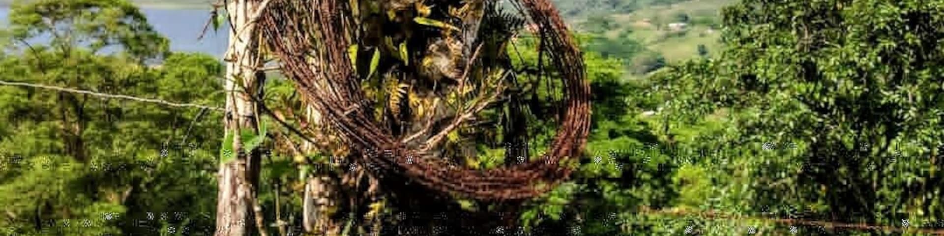 One of the best parts about the #adventure to Costa Rica and staying in an eco Lodge was learning about the history of the land, and the use of living fence posts!