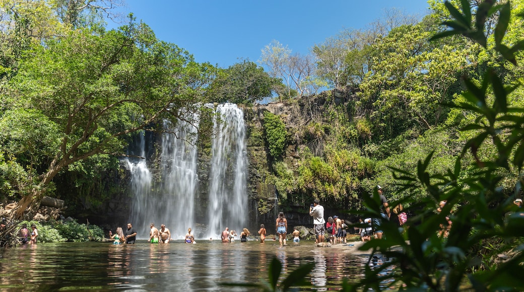 Peñas Blancas
