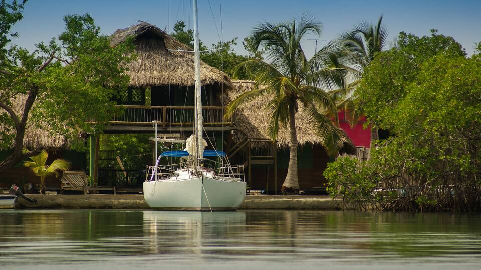 A sailboat docked near a thatched-roof house surrounded by palm trees and mangroves.