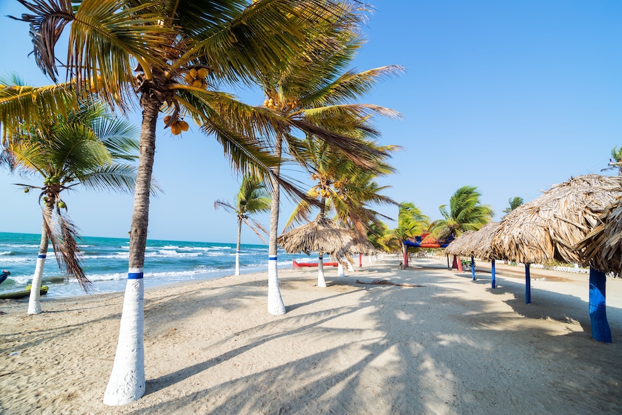 Palm Trees and Sand