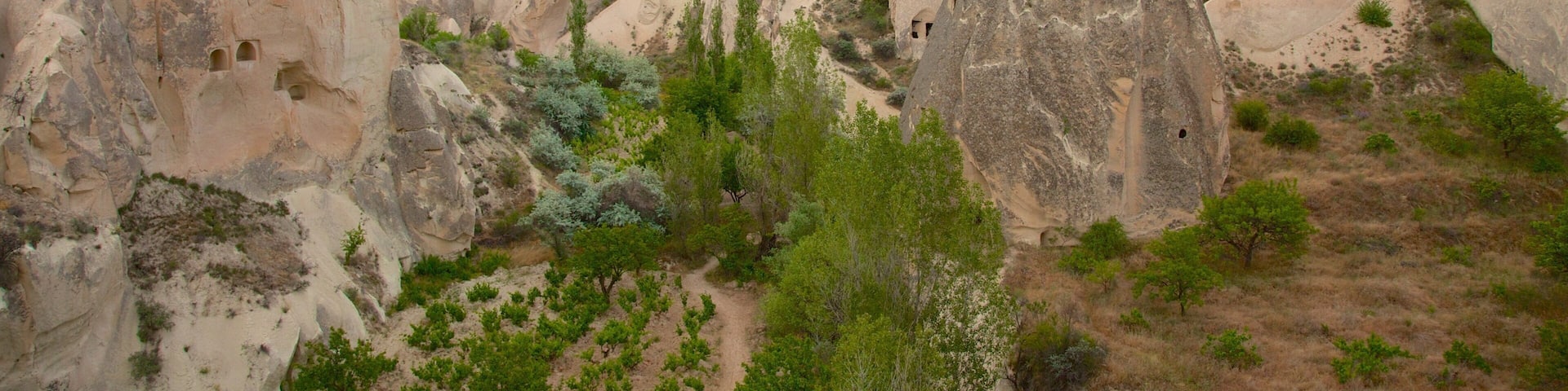 Rose Valley showing ballooning