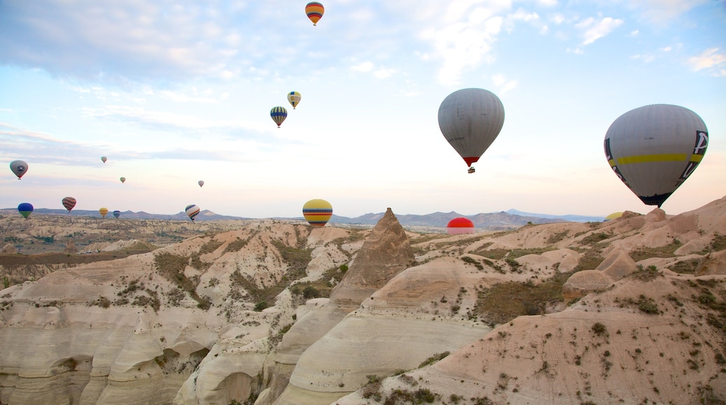 Rosedalen fasiliteter samt varmluftsballong