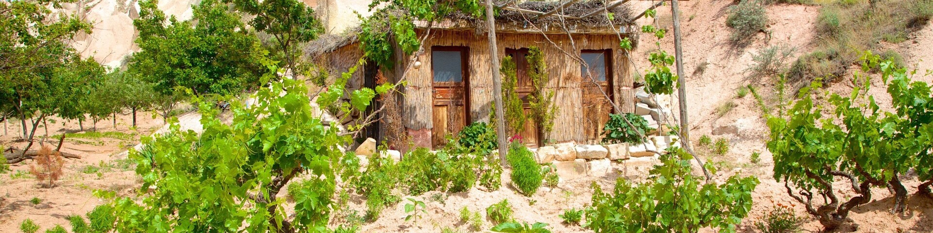 Vale Vermelho mostrando fazenda