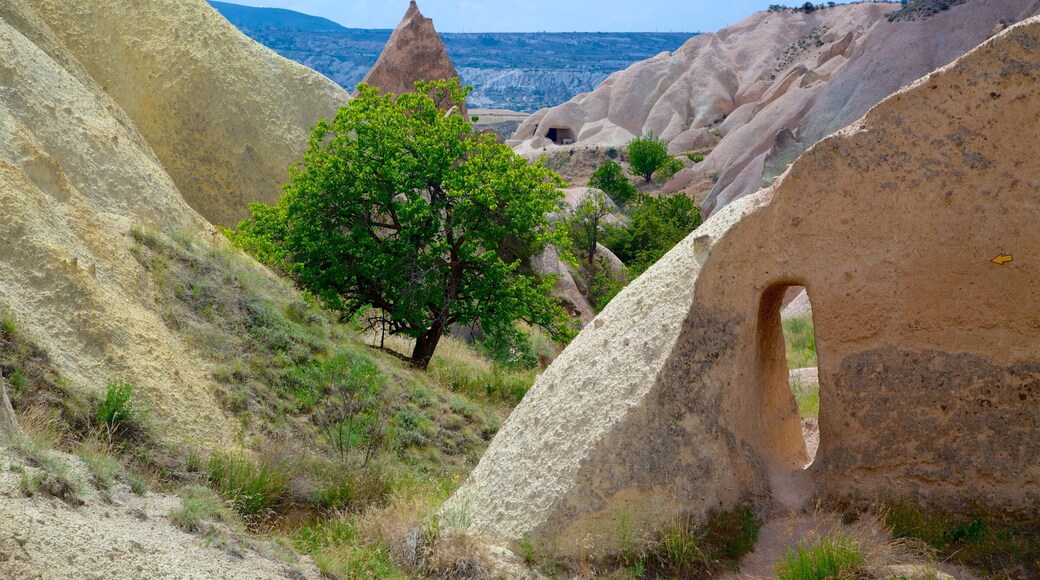 Red Valley featuring a gorge or canyon