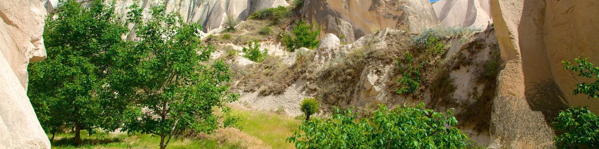 Vallée rouge mettant en vedette montagnes