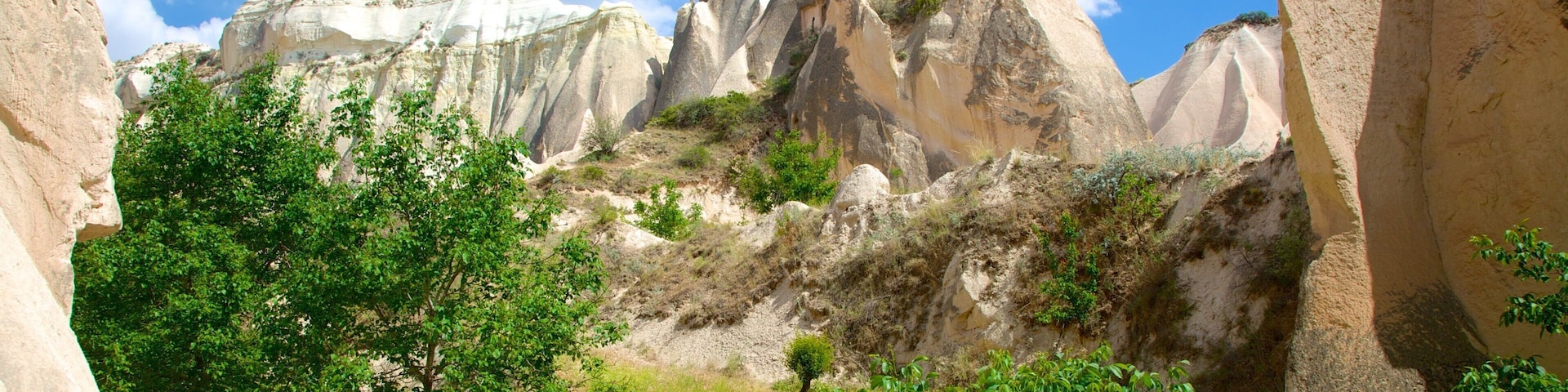 Vale Vermelho mostrando montanhas