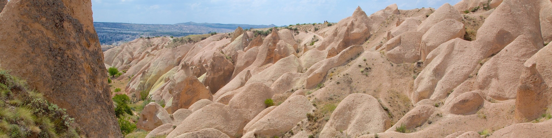 Red Valley featuring a gorge or canyon